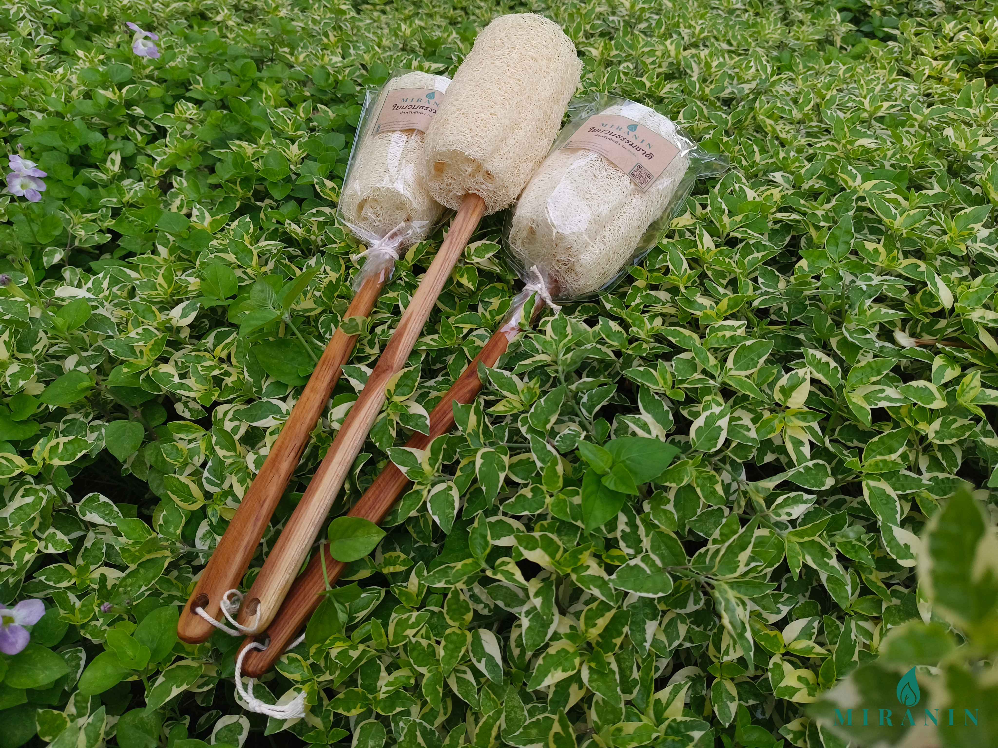 สินค้ามิรานิน ใยบวบขัดผิวธรรมชาติ
