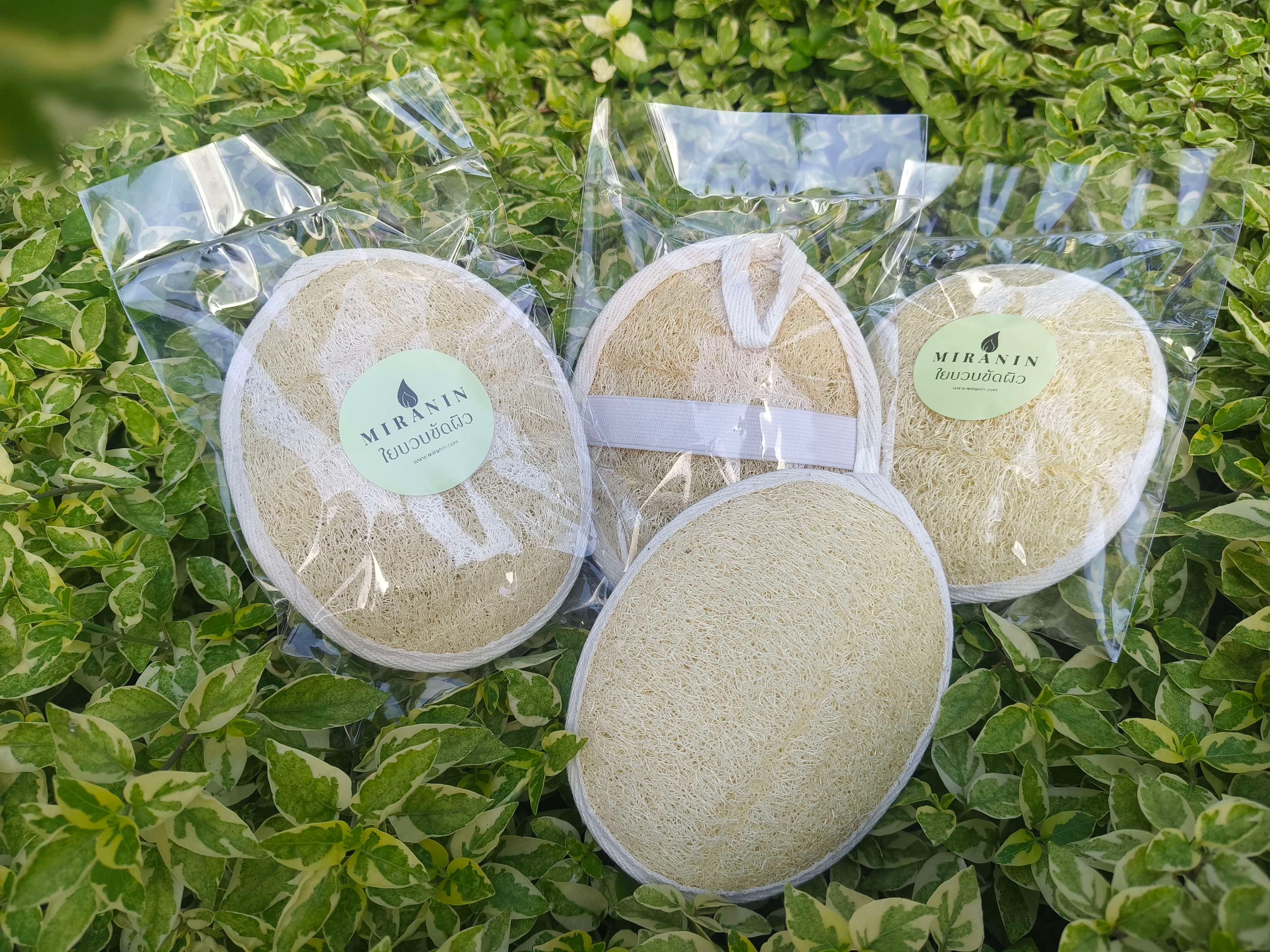 สินค้ามิรานิน ใยบวบขัดผิวธรรมชาติ