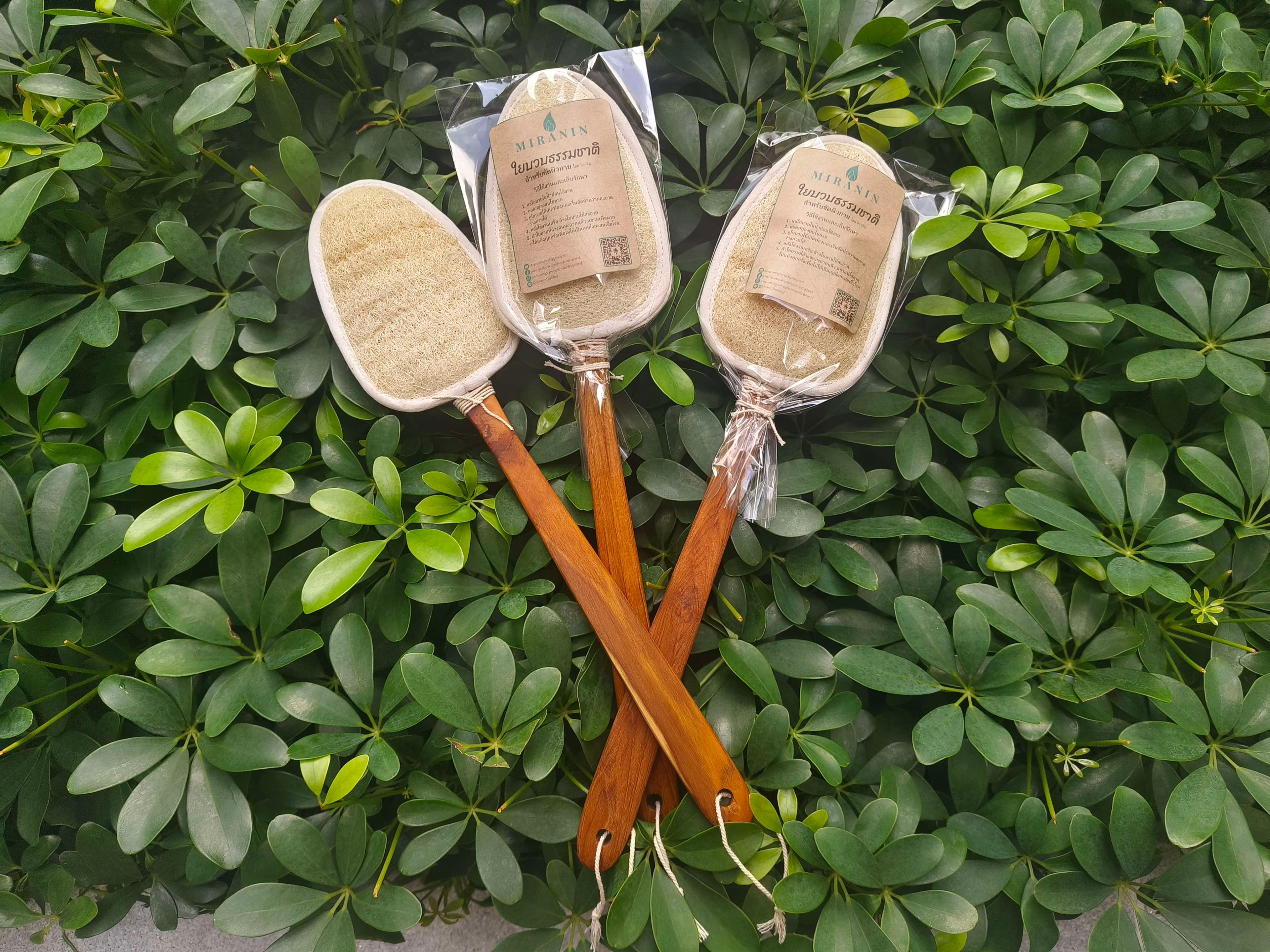 สินค้ามิรานิน ใยบวบขัดผิวธรรมชาติ